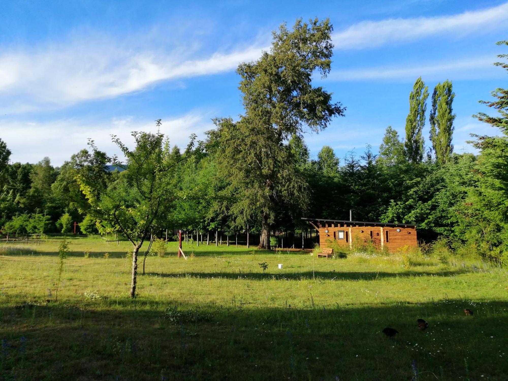 Brisas Del Llaima Melipeuco Exterior foto
